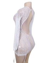 White Long Sleeve Floral Lace Chemise