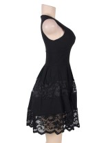 Plus Size Lace Mesh Sleeveless Pleated Black Skater Dress