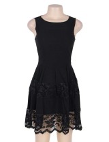 Plus Size Lace Mesh Sleeveless Pleated Black Skater Dress